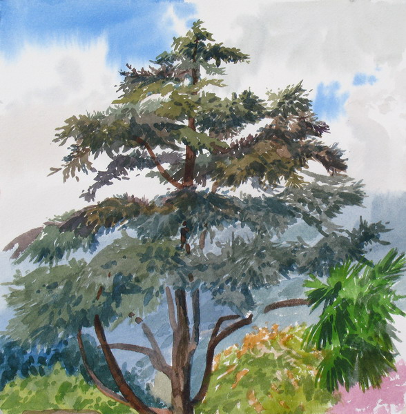 �������� ���������. �������� ����, 2005
25.5x25 ��; ������ �������