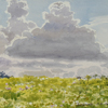 Облака над цветущим лугом, 2007
21x35 см; картину можно купить